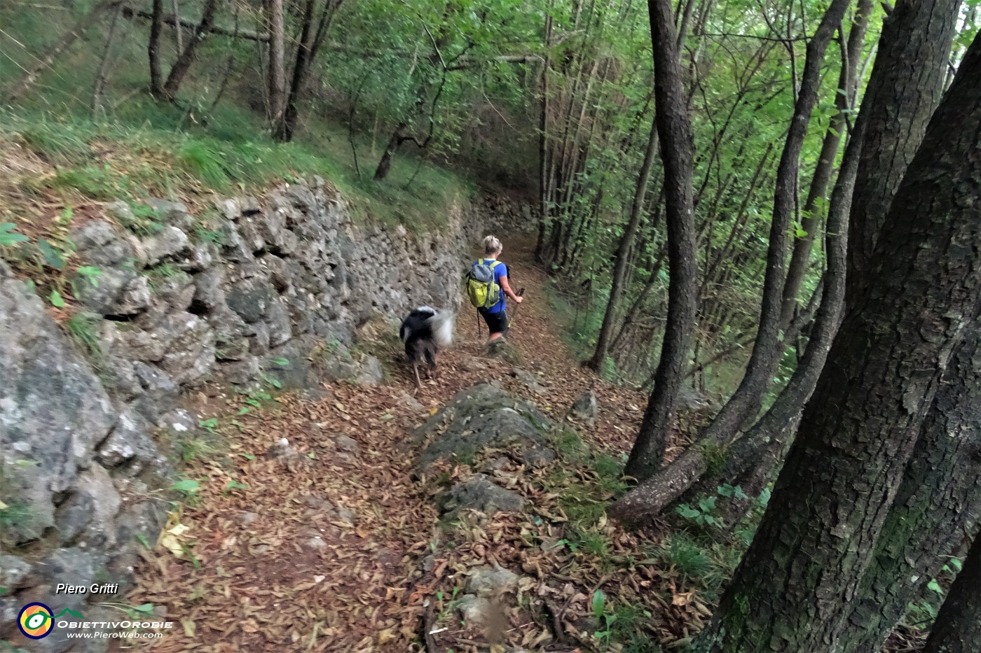 62 Ben tracciato e tenuto il sent. 594A riparato a monte da vetusti muri a secco ancora in buono stato.JPG